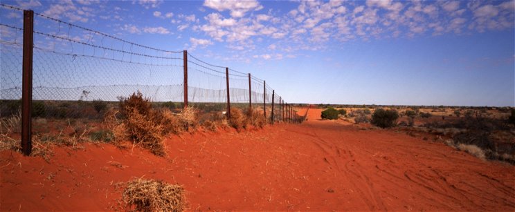 5000 kilométeres kerítés épült Ausztráliában, de nem a menekültek miatt