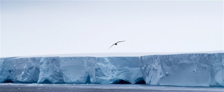 Rémisztő felfedezés tettek az Antarktiszon, titkosították a fotókat, mi lehet az igazság?