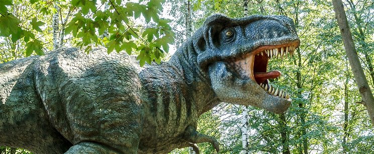 Meglepő kijelentés tett egy idegtudós a T.Rexre vonatkozóan, a paleontológusok felhördültek